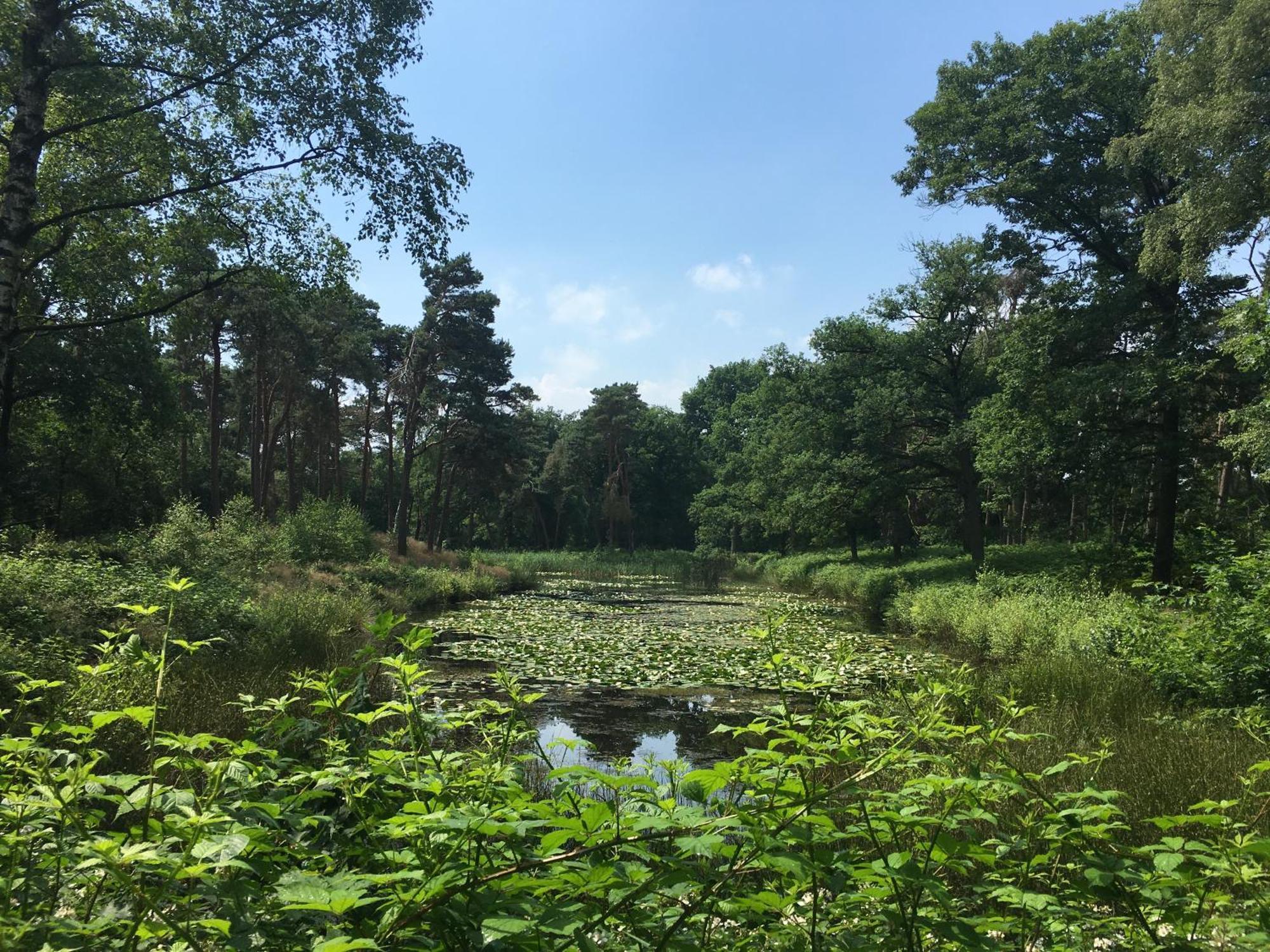 Hotel Kapellerput Heeze-Eindhoven 외부 사진